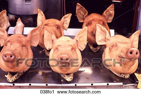 Display of Pig`s Heads View Large Photo Image Stock Image - Display of Pig`s Heads. Fotosearch