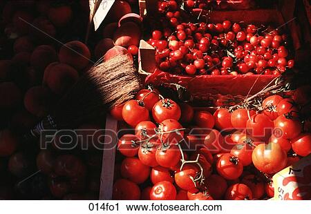 Display of Tomatoes in Sunlight View Large Photo Image Stock Image - Display of Tomatoes in Sunlight. Fotosearch