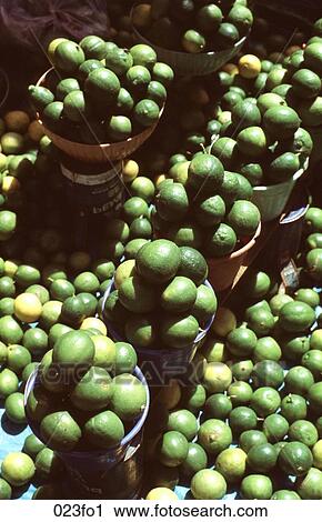 Market Display of Limes View Large Photo Image Stock Image - Market Display of Limes. Fotosearch