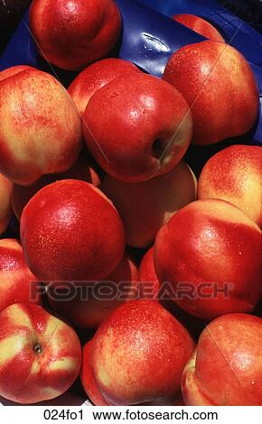 Peaches View Large Photo Image Stock Image - Peaches. Fotosearch