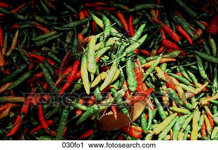 Red and Green Chillies View Large Photo Image Stock Image - Red and Green Chillies. Fotosearch