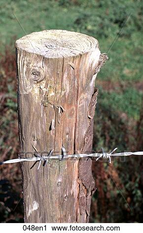 Barbed Wire Fence and Wooden Post View Large Photo Image Stock Image - Barbed Wire Fence and Wooden Post. Fotosearch