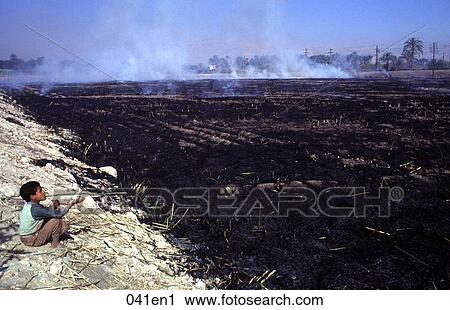 Boy Sitting by Burnt Stubble Egypt View Large Photo Image Stock Image - Boy Sitting by Burnt Stubble Egypt. Fotosearch