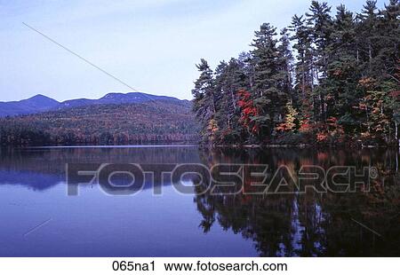 Reflection of Trees in a Lake New Hampshire View Large Photo Image Stock Image - Reflection of Trees in a Lake New Hampshire. Fotosearch