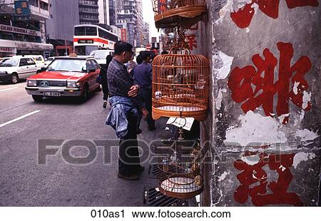 Bird Market in a Street Kowloon Hong Kong View Large Photo Image Stock Image - Bird Market in a Street Kowloon Hong Kong. Fotosearch