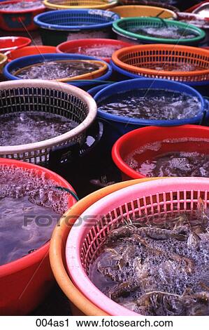Stock Image - Display of Seafood in a Market Hong Kong. Fotosearch
