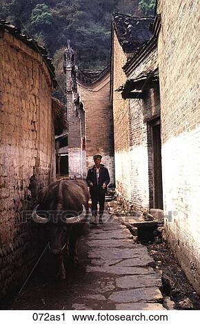 View down Alleyway of Peasant and Ox China View Large Photo Image Stock Image - View down Alleyway of Peasant and Ox China. Fotosearch