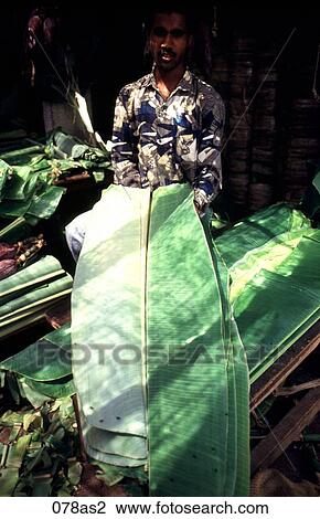 Stock Image - Man Holding Banana Leaf Mysore India Asia. Fotosearch