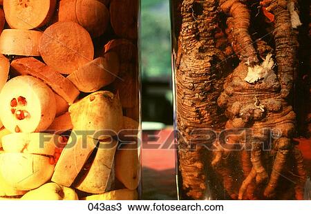 Jars of Ginseng and Pickled Fruit Korea Asia View Large Photo Image Stock Image - Jars of Ginseng and Pickled Fruit Korea Asia. Fotosearch