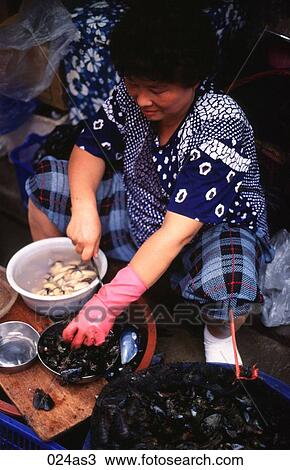 Woman Preparing Seafood Yeosu Korea Asia View Large Photo Image Stock Image - Woman Preparing Seafood Yeosu Korea Asia. Fotosearch