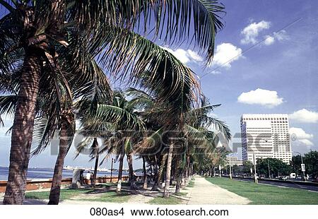 View of Roxas Boulevard Manila The Philippines Asia View Large Photo Image Picture - View of Roxas Boulevard Manila The Philippines Asia. Fotosearch
