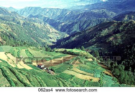 Picture - View of Stepped Fields Luzon The Philippines Asia. Fotosearch