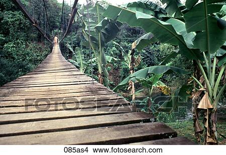 Wooden Bridge Zamboanga The Philippines Asia View Large Photo Image Picture - Wooden Bridge Zamboanga The Philippines Asia. Fotosearch