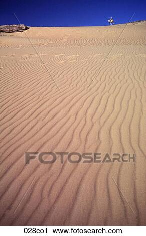Stock Image - Desert Sand. Fotosearch