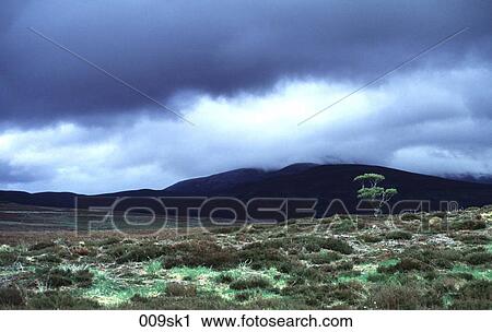 Storm Clouds over Grampian Mountains View Large Photo Image Stock Image - Storm Clouds over Grampian Mountains. Fotosearch