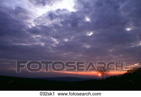 Sun Setting behind Lone Tree View Large Photo Image Stock Image - Sun Setting behind Lone Tree. Fotosearch