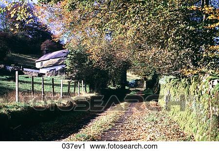 Country Lane UK View Large Photo Image Stock Image - Country Lane UK. Fotosearch