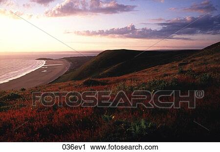 Evening Coastal View of Rhosilli Down Wales UK View Large Photo Image Stock Image - Evening Coastal View of Rhosilli Down Wales UK. Fotosearch