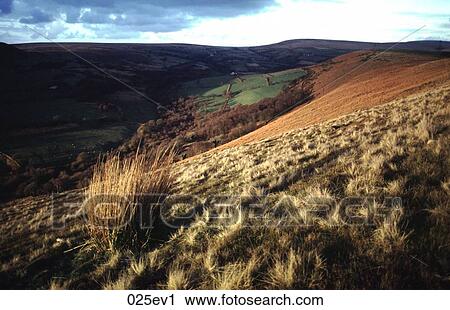 Evening Sun Striking Moorland UK View Large Photo Image Stock Image - Evening Sun Striking Moorland UK. Fotosearch