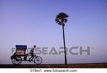 Lone Rickshaw and a Palm Tree Trivalore India View Large Photo Image Stock Image - Lone Rickshaw and a Palm Tree Trivalore India. Fotosearch