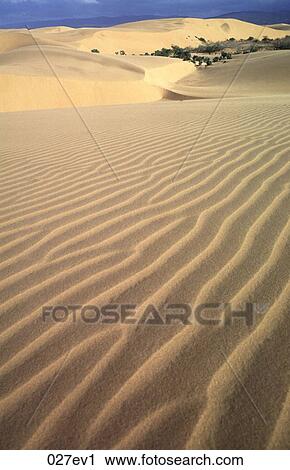 Patterned Desert Sands Coro Venezuela View Large Photo Image Stock Image - Patterned Desert Sands Coro Venezuela. Fotosearch