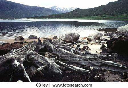 Rocky Shoreline of a Scottish Loch UK View Large Photo Image Stock Image - Rocky Shoreline of a Scottish Loch UK. Fotosearch