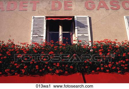 Parisian Window Boxes View Large Photo Image Stock Image - Parisian Window Boxes. Fotosearch