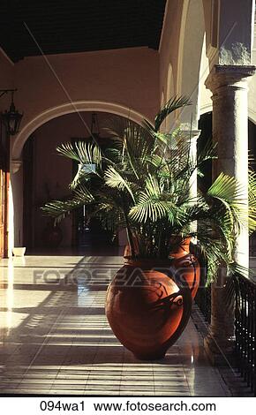 Plant on Balcony Mexico View Large Photo Image Stock Image - Plant on Balcony Mexico. Fotosearch