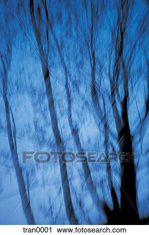 Stock Image - blur, autumn, blue sky, blue, blew, blurs, abstract. Fotosearch