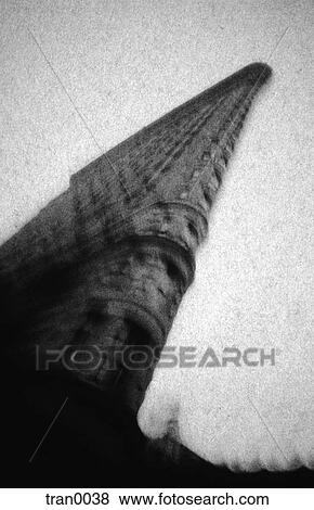 Stock Photo - blurs, architecture, blurring, blurred, blur, building, architect. Fotosearch