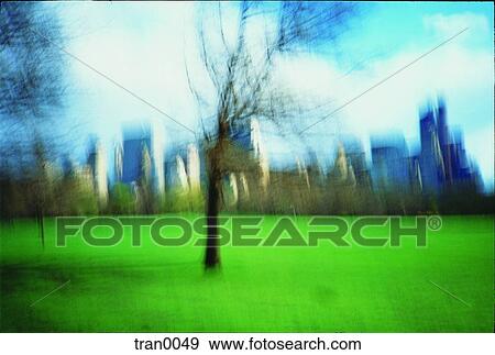 NYC, blur, lone tree, Central Park, blurred, autumn View Large Photo Image Stock Photo - NYC, blur, lone tree, Central Park, blurred, autumn. Fotosearch