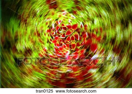 circular, background, circles, blurs, blur, circular motion, abstract View Large Photo Image Stock Photography - circular, background, circles, blurs, blur, circular motion, abstract. Fotosearch