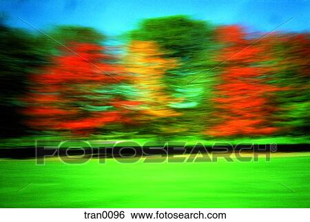 Stock Photograph - fall, autumn leaves, driving by, cluster, changing leaves, fleeting, autumn. Fotosearch