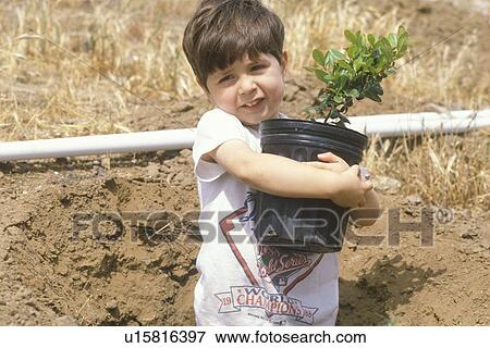 A boy holding a tree to be planted on Earth Day View Large Photo Image Stock Photo - A boy holding a tree to be planted on Earth Day . Fotosearch