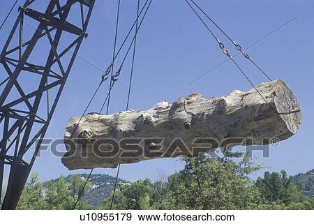 A crane raising a weathered log View Large Photo Image Stock Photo - A crane raising a weathered log. Fotosearch