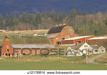 A farm with trees and mountains in the background View Large Photo Image Picture - A farm with trees and mountains in the background. Fotosearch