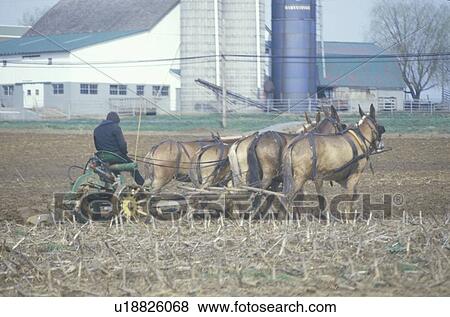 A farmer and horse plowing the fields View Large Photo Image Stock Photo - A farmer and horse plowing the fields. Fotosearch