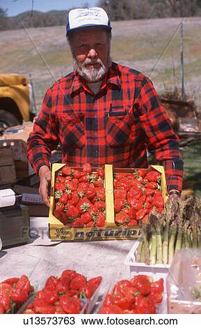 Stock Image - A farmer diplaying fresh strawberries. Fotosearch