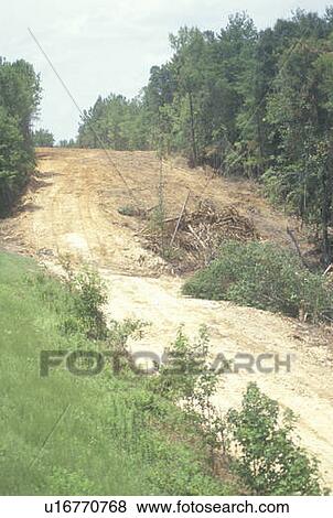 A forest clearing for road development View Large Photo Image Stock Photo - A forest clearing for road development. Fotosearch