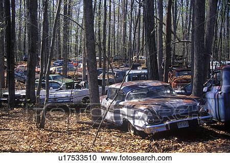 A group of junk cars in a forest off of Route 29 in Virginia View Large Photo Image Stock Image - A group of junk cars in a forest off of Route 29 in Virginia. Fotosearch