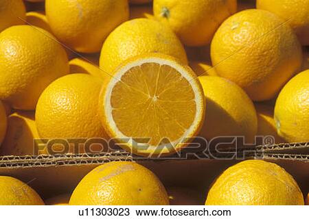 Stock Image - A halved orange rests on oranges in boxes. Fotosearch