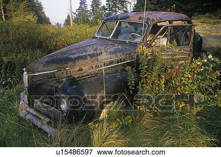 Stock Photo - A junk car in a field of grass. Fotosearch