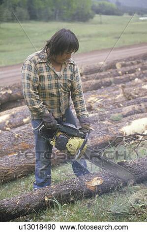 A logger cutting a felled log with a chainsaw View Large Photo Image Stock Image - A logger cutting a felled log with a chainsaw . Fotosearch