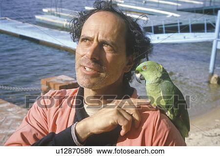 A man with a parrot on his shoulder View Large Photo Image Stock Photograph - A man with a parrot on his shoulder. Fotosearch