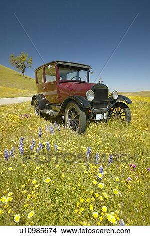 A maroon Model T driving down a scenic road View Large Photo Image Picture - A maroon Model T driving down a scenic road. Fotosearch
