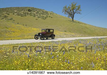 Stock Photo - A maroon Model T driving down a scenic road. Fotosearch