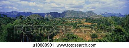 A panoramic view of the Valle de Viñales, in central Cuba View Large Photo Image Stock Image - A panoramic view of the Valle de Viñales, in central Cuba. Fotosearch