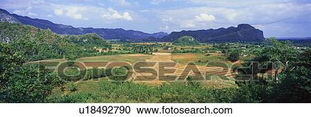A panoramic view of the Valle de Viñales, in central Cuba View Large Photo Image Stock Image - A panoramic view of the Valle de Viñales, in central Cuba. Fotosearch