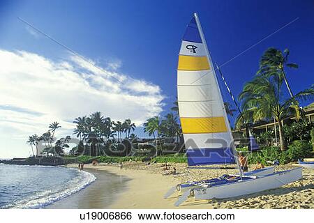 A sailboat launched on the beach in Kauai, Hawaii View Large Photo Image Stock Photograph - A sailboat launched on the beach in Kauai, Hawaii. Fotosearch