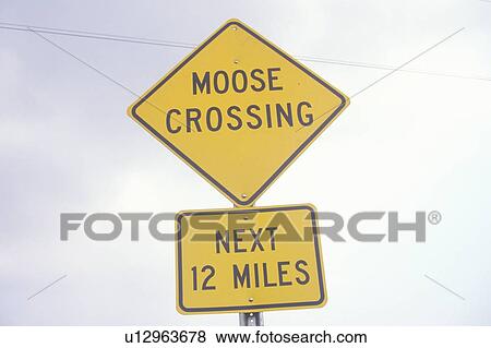A sign that reads “Moose Crossing” View Large Photo Image Stock Photo - A sign that reads “Moose Crossing”. Fotosearch